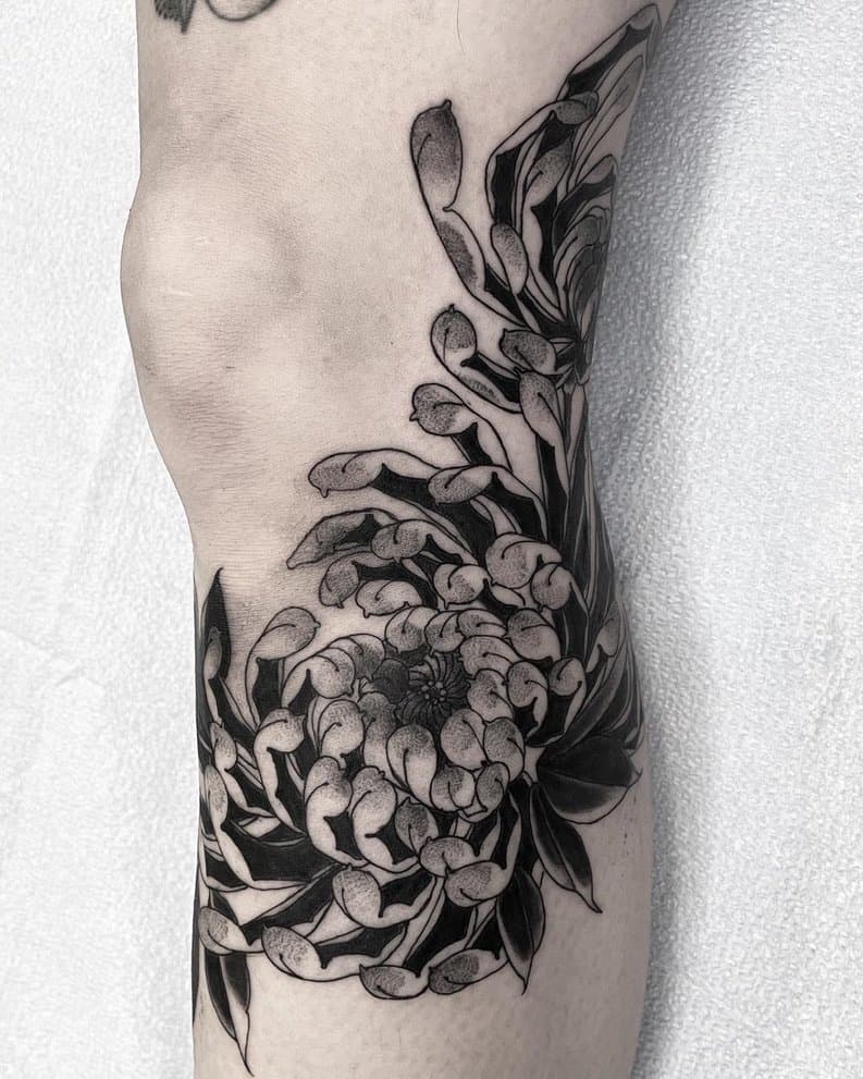 gallery-image-0